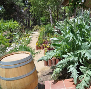 Artichoke Heart Garden
